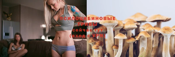 спайс Алзамай