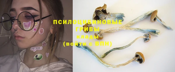 таблы Алексеевка