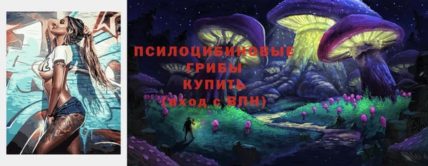 таблы Алексеевка