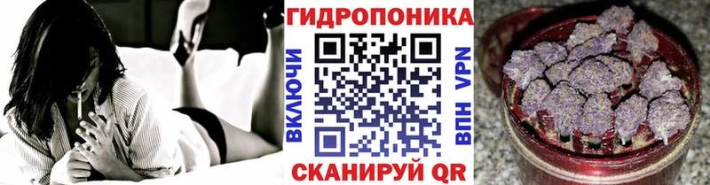 как найти закладки  Краснообск  Шишки марихуана планчик 